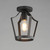 Arden One Light Pendant / Semi-Flush (10421BK)