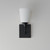 Hudson One Light Wall Sconce (12881SWBK)