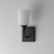 Hudson One Light Wall Sconce (12881SWBK)