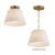 Hudson One Light Semi-Flush Mount/Pendant (12880SWNAB)