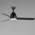 Seaborne 52" Ceiling Fan (88723BK)