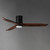 Woodwind 52" Ceiling Fan (88830WTBK)