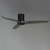 Woodwind 52" Ceiling Fan (88830WTBKGWD)