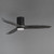 Woodwind 52" Ceiling Fan (88830WTBKGWD)