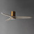 Woodwind 52" Ceiling Fan (88830WTNABWWT)
