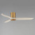 Woodwind 52" Ceiling Fan (88830WTNABWWT)