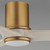 Woodwind 52" Ceiling Fan (88830WTNABWWT)
