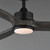 Woodwind 52" Ceiling Fan (88831WTBKGWD)