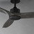 Woodwind 52" Ceiling Fan (88831WTBKGWD)