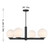 Four Light Chandelier (M100123MBK)