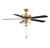 52" Ceiling Fan (M2019NBRV)