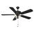 52" Outdoor Ceiling Fan (M2026MBKRV)