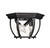 Meridian - M50059BK - Three Light Outdoor Flush Mount - Black