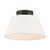 One Light Semi-Flush Mount (M60077MBK)