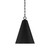 One Light Pendant (M70112MBK)