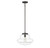 One Light Pendant (M7022ORB)