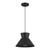 One Light Pendant (M7049MBK)