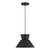 One Light Pendant (M7049MBK)
