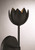 One Light Wall Sconce (M90081MBK)