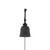 Two Light Wall Sconce (M90089MBK)