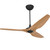 Big Ass Fans - MK-HK4-05240601A258F221G10I20S80 - 60Ceiling Fan Kit - Haiku - Black