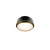 manufacturer_finish:Black/Aged Brass|color_temperature:4000K