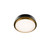 manufacturer_finish:Black/Aged Brass|color_temperature:3500K