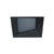 manufacturer_finish:Black|cri:Unspecified|voltage:Unspecified