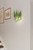 Verla Crest Two Light Wall Sconce (N3472-G-732)