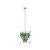 Verla Crest Five Light Pendant (N3475-G-732)