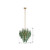 Verla Crest 13 Light Pendant (N3478-G-732)