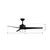 Verna 52" Ceiling Fan (F646L-CL)