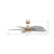 Saltcress 60" Ceiling Fan (F764L-LBR)