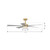 Nellora 52" Ceiling Fan (F772L-LBR/ALW)