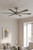 Brenix 60" Ceiling Fan (F773L-BN/CL)