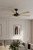 Brenix 60" Ceiling Fan (F773L-DB/WTO)