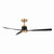 Foxden 53" Ceiling Fan (F778L-LBR/CL)