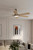 Allegata 56" Ceiling Fan (F779L-BN/WTO)