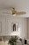 Portesa 60" Ceiling Fan (F798L-HBR/NPL)
