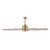 Barn 65" Ceiling Fan (F864L-LBR)
