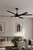 Soarin 72" Ceiling Fan (F893L-CL)