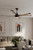 Soarin 72" Ceiling Fan (F893L-CL/AO)
