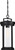 Huron One Light Hanging Lantern (60-6504)