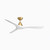 manufacturer_finish:Soft Brass/Matte White/Matte White|light_source:Unspecified
