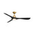 manufacturer_finish:Soft Brass/Matte Black/Matte Black