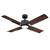 manufacturer_finish:Oil Rubbed Bronze/Dark Walnut/Dark Walnut|color_temperature:3000K