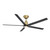 manufacturer_finish:Soft Brass/Matte Black/Matte Black