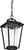 Lakeview One Light Hanging Lantern (60-6514)