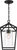 Nuvo Lighting - 60-6594 - One Light Hanging Lantern - Hopewell - Matte Black