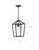Hopewell One Light Hanging Lantern (60-6594)